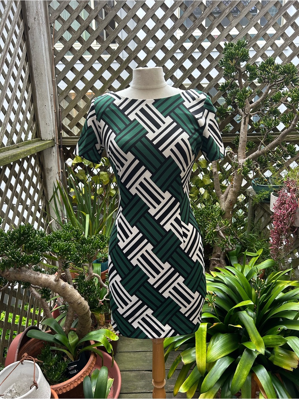 Esley Green and White Geometric Short Sleeve Shift Dress